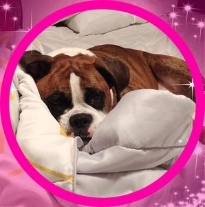 Meet your Posher, Mary